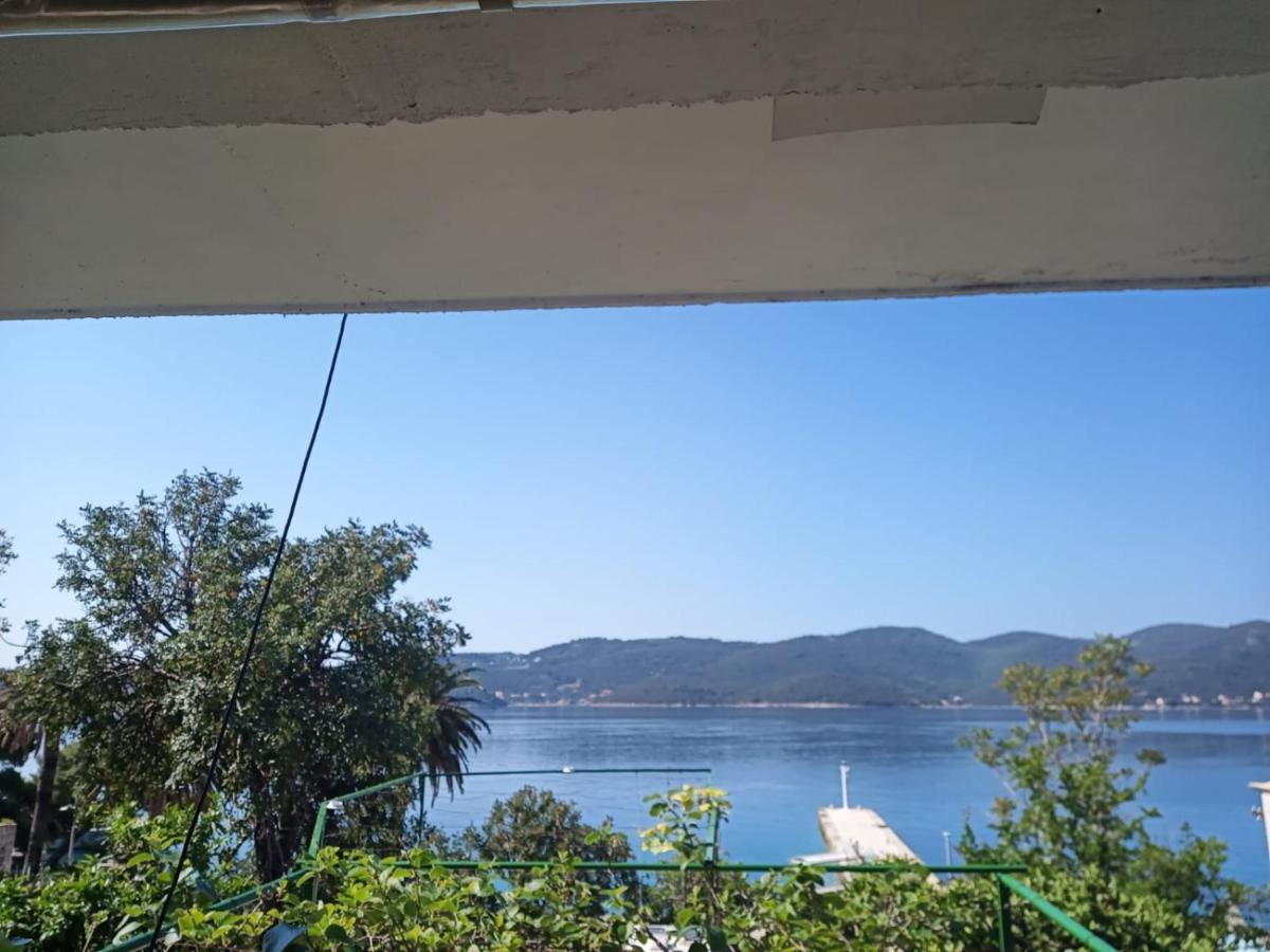 Apartman Iva Kuciste Rum bild